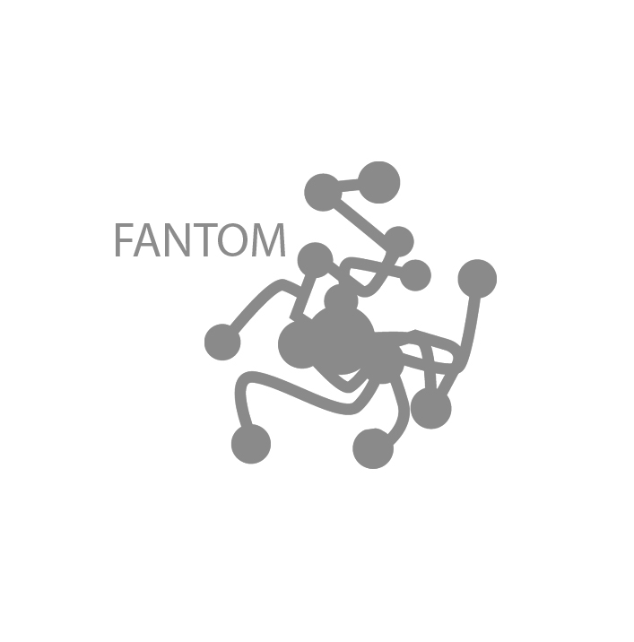 fantom