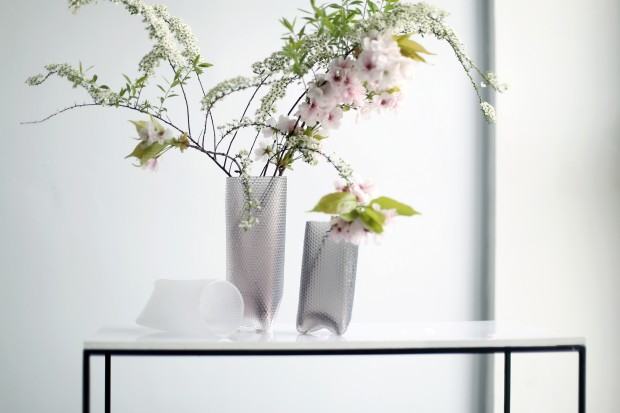 Justyna Żak, Młodzi na start