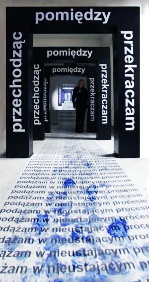 003.-malgorzata-kazimierczak-instalacja-przechodzac-pomiedzy.jpg