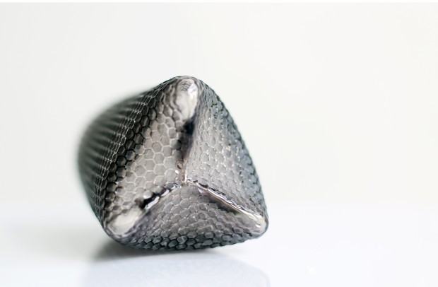 Justyna Żak, Młodzi na start