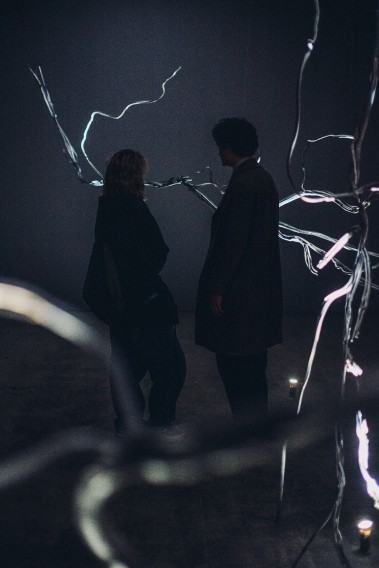 Anna Bujak, Korzenie, wystawa grupowa Ogród wojenny. Rośliny w czasie konfliktu, 66P Wrocław 2025, fot. Michał Pietrzak