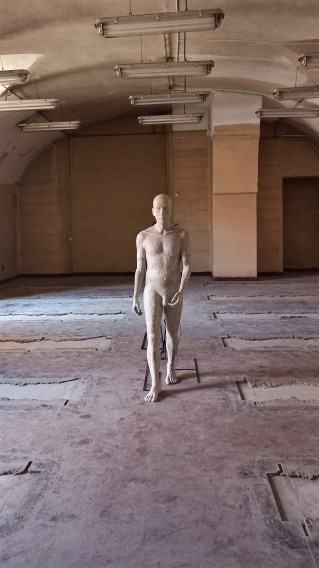 widok wystawy Dyplomy rzeźba