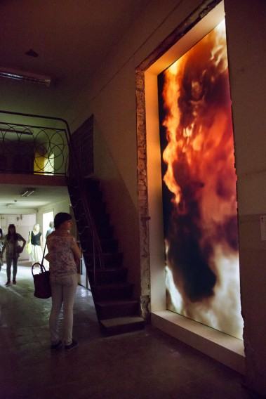 dr hab. Maja Wolińska