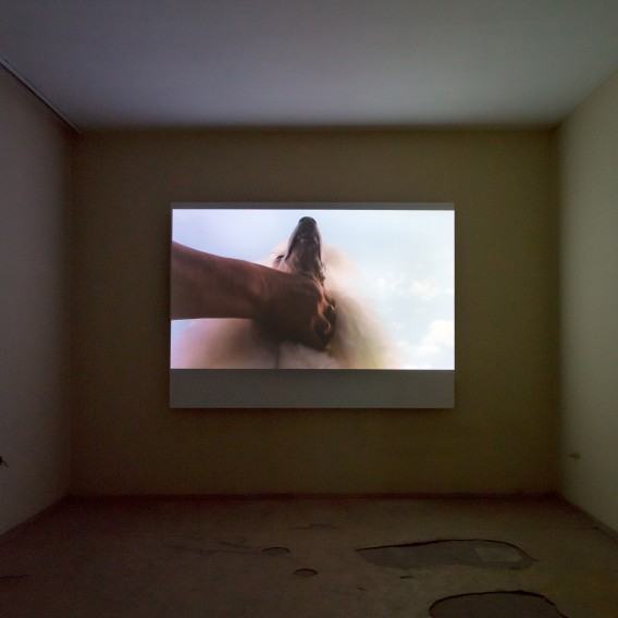 dr hab. Maja Wolińska