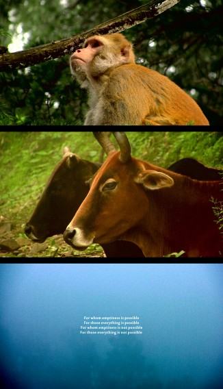 dr hab. Maja Wolińska