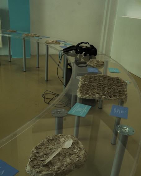 Wystawa Dowody osobiste / 8. Konkurs Najlepszych Dyplomów Sztuki Mediów