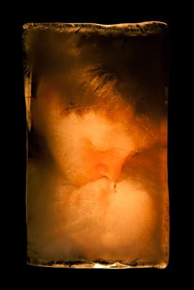 Z cyklu Hibernacja dzieciństwa, autor Ewa Martyniszyn