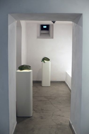 Fragment wystawy Justyny Żak pt. RE-TURN