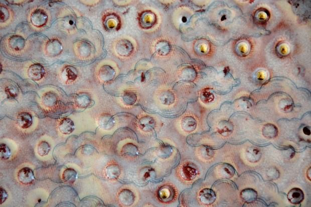 Fragment wystawy Joanny Opalskiej-Brzeckiej pt. U/ARCY/PRZE TWORY