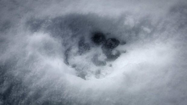 Maja Wolińska, We met x