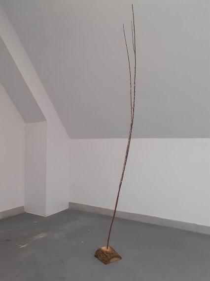 fotorelacja z pleneru rzeźbiarskiego Rzeźba wobec funkcji