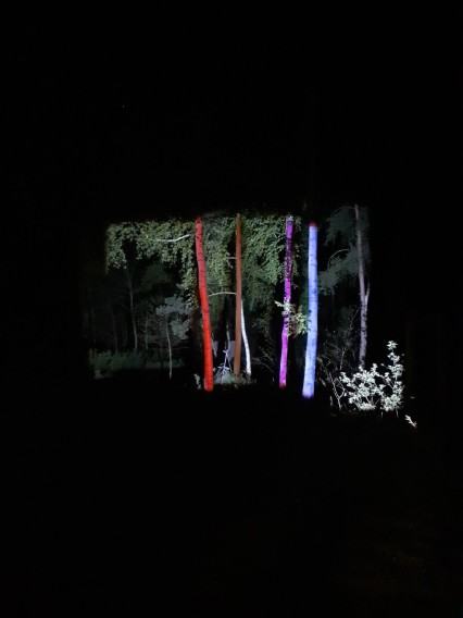 fotorelacja z pleneru rzeźbiarskiego Rzeźba wobec funkcji