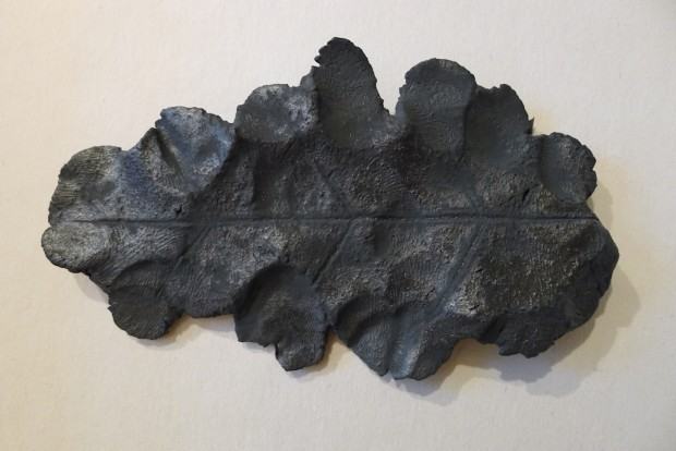 Grzybowska Magdalena, Czarny dąb