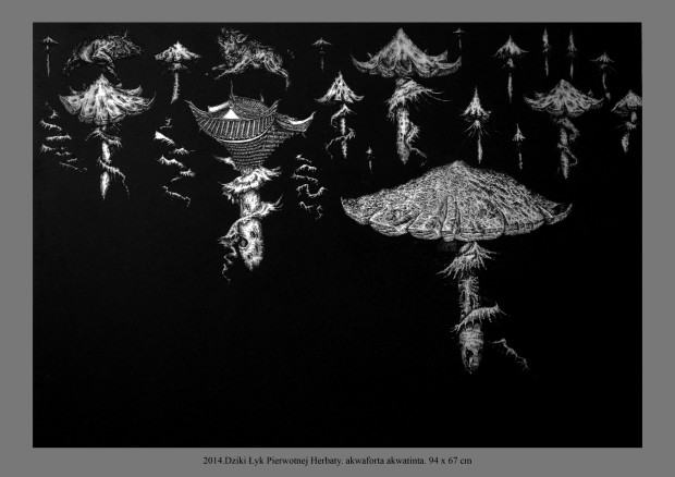 prof. Przemysław Tyszkiewicz