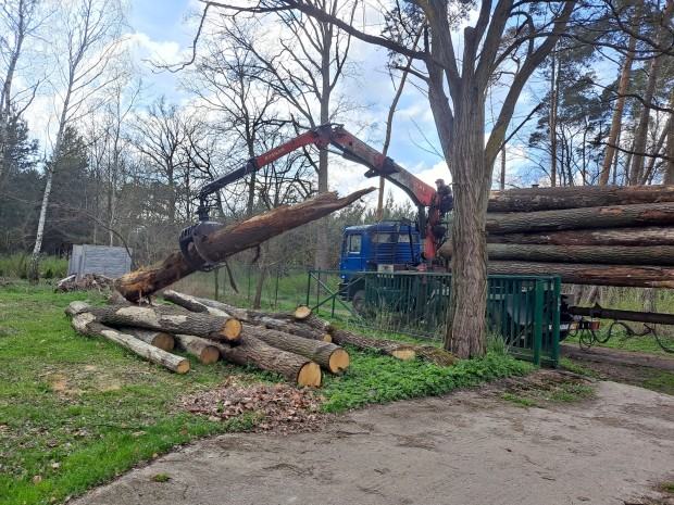 Warsztaty rzeźbiarskie