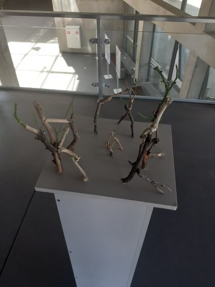 wystawa dyplomantów Wydziału Rzeźby i Mediacji Sztuki  Versus