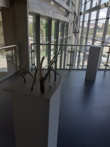 wystawa dyplomantów Wydziału Rzeźby i Mediacji Sztuki  Versus