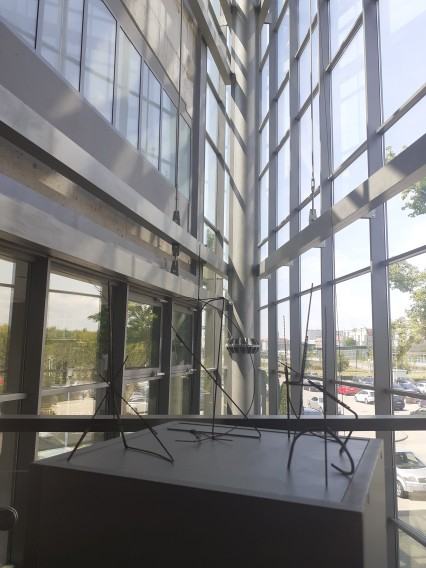 wystawa dyplomantów Wydziału Rzeźby i Mediacji Sztuki  Versus