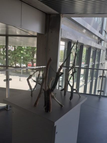 wystawa dyplomantów Wydziału Rzeźby i Mediacji Sztuki  Versus