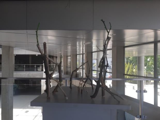 wystawa dyplomantów Wydziału Rzeźby i Mediacji Sztuki  Versus