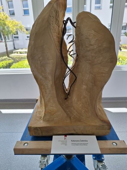 IX Międzynarodowe Artystyczne Warsztaty Rzeźbiarskie, zdj. Aleksander Marek Zyśko