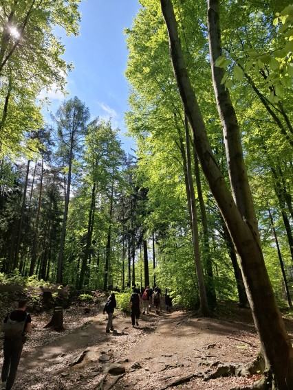 Ekspedycja Rzeźby ASP Wrocław na Ślężę Ekspedycja Rzeźby ASP Wrocław na Ślężę