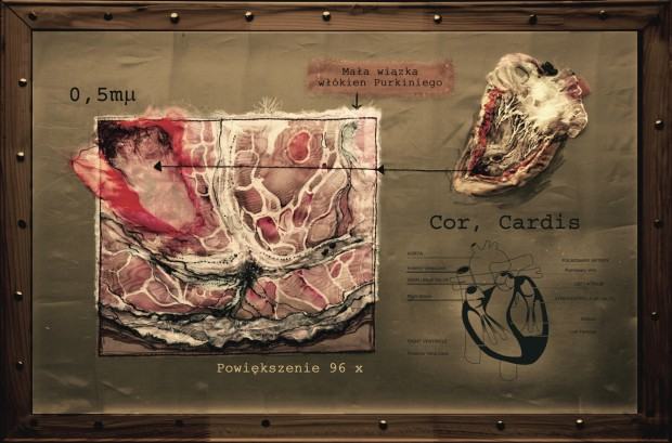 COR, Dorota Pietrzyk