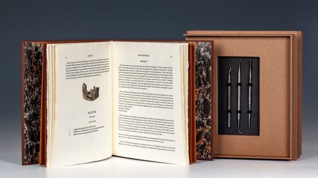 Devon Stackonis, „Retaining walls” kodeks w etui / 2024, Madison (Stany Zjednoczone) / papier, narzędzia dentystyczne, płótno introligatorskie, skóra, złota folia / technika własna (w tym akwaforta, chine-collé, druk typograficzny) / 26,3 × 23,4 × 1,4 cm (kodeks), 28,5 × 24,7 × 4,7 cm (etui) / nakład: 10 egz. (ten: nr 8) fot. Magdalena Lorek, MNWr