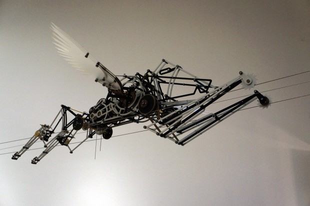 dr. hab. Piotr Jędrzejewski