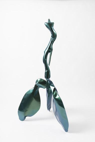 Małek Wojciech, Skrzydlak