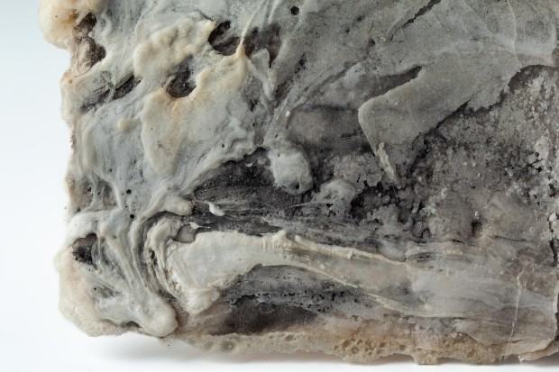 Barbara Mydlak i Yann Deval, obiekt z cyklu „Sent unsent letter” (stanowiący element projektu „A healing illusion”) interaktywny obiekt przestrzenny z kompozycjami muzycznymi / 2023, Gandawa (Belgia) / japoński papier czerpany ręcznie, tusz, cukier / technika własna / 22 × 32 × 0,5 cm oraz kompozycje: „Bouleversements; Boussoles” (muz. i wyk. Yann Deval) / unikat fot. Magdalena Lorek, MNWr