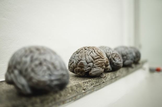 Wystawa grupy Silesium we Lwowie