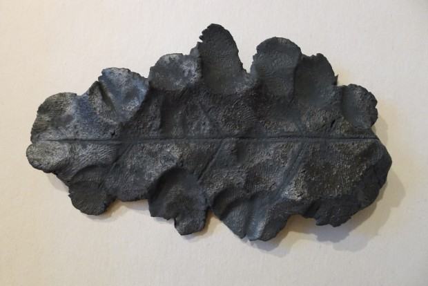 Magdalena Grzybowska, Zbiory