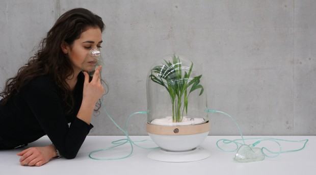 Paulina Woźny, Palma pokoju, zdj. Anna Ogulewicz