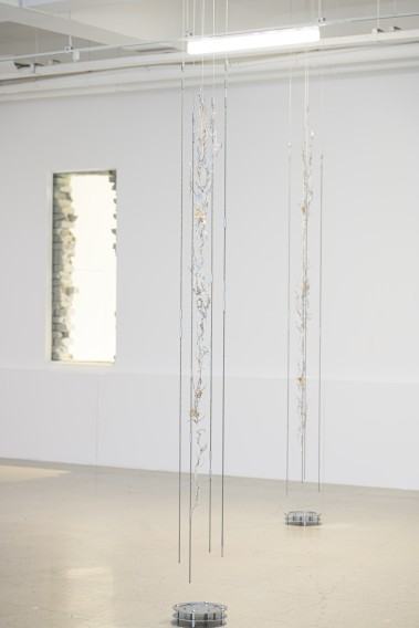 Inside Job (Ula Lucińska, Michał Knychaus), Entwined, Rites of Passage - wystawa w ramach Polskiego Pawilonu na 16 Międzynarodowym Gwangju Biennale, Korea Południowa, 2026, fot. Kuba Celej, Materiały prasowe Instytutu Adama Mickiewicza