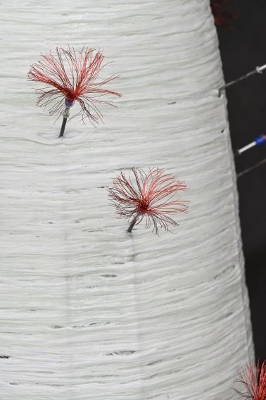 K.Pawlak, zdj. W. Kowalski