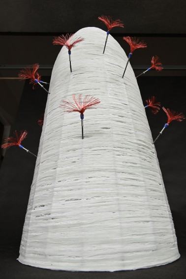 K.Pawlak, zdj. W. Kowalski