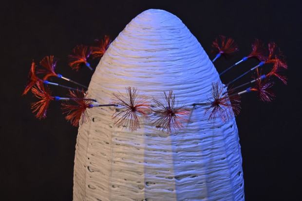 K.Pawlak, zdj. W. Kowalski