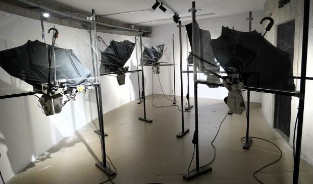 Wystawa prof. Marcina Berdyszaka