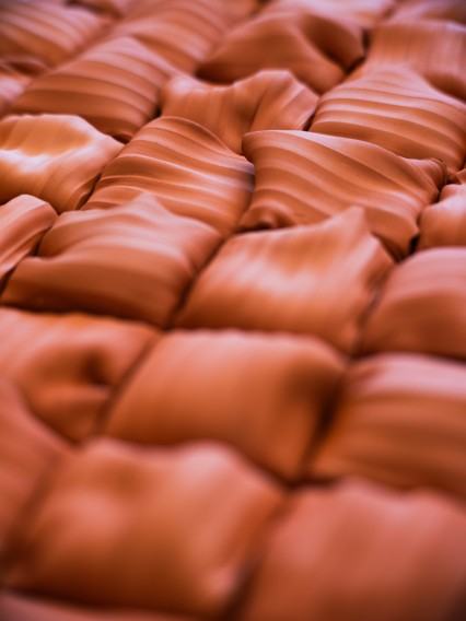 Alicja PAtanowska, zdj. Jakub Celej / IAM