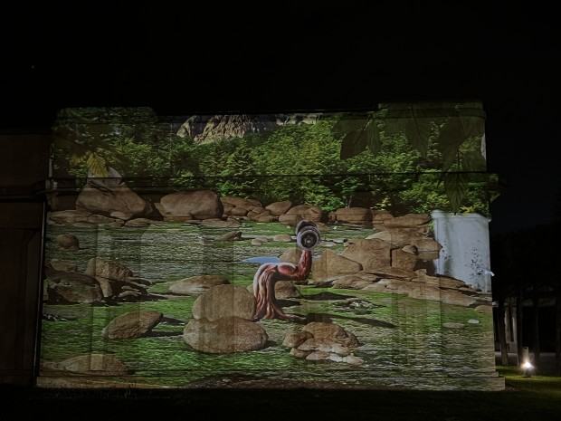 LAACT3.0, Krajobraz wyświetlany na elewacji Pawilonu 4 Kopuł we Wrocławiu, autor Jeremy Griffaud