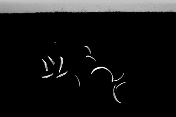 Pracownia Fotografii Inscenizowanej WGiSZM