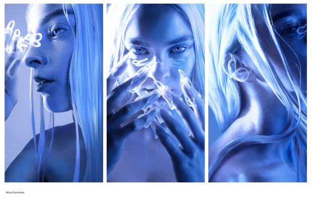 Dyplom projektowy Alicji Domańskiej