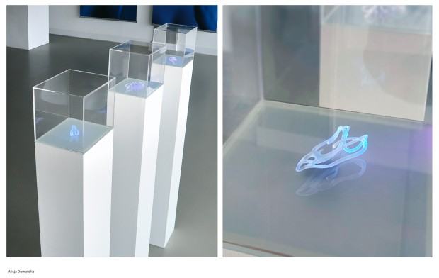 Dyplom projektowy Alicji Domańskiej