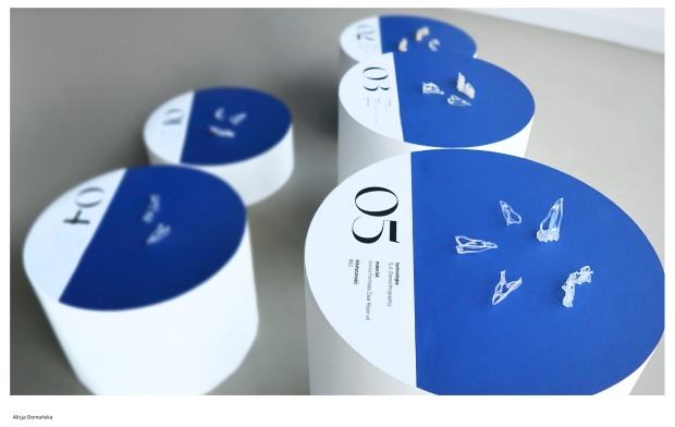 Dyplom projektowy Alicji Domańskiej