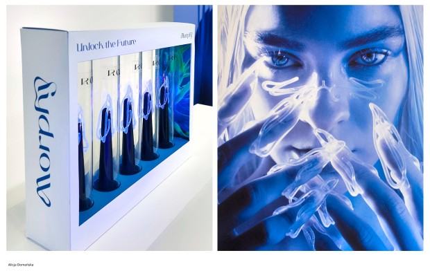 Dyplom projektowy Alicji Domańskiej