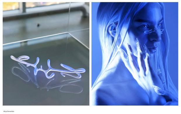 Dyplom projektowy Alicji Domańskiej