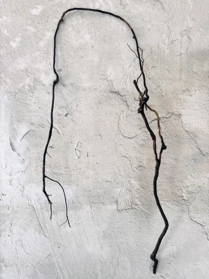 anna-bujak-korzenie-2025-instalacja-aluminium-dzieki-uprzejmosci-artystki