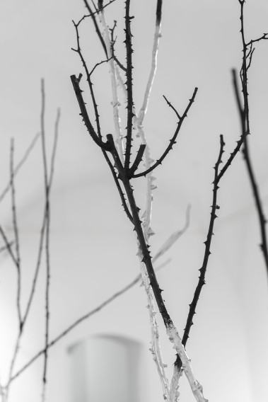 anna-bujak-rosarium_2025_fot-sonia-bober-1.jpg Anna Bujak, Rosarium 2025, fot. Sonia Bober