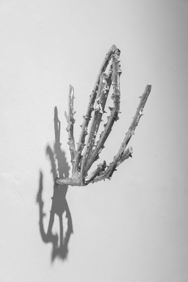 anna-bujak-rosarium_2025_fot-sonia-bober-2.jpg Anna Bujak, Rosarium 2025, fot. Sonia Bober